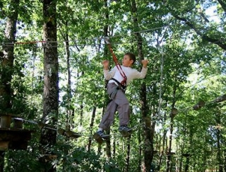  Salire in alto in loro compagnia 